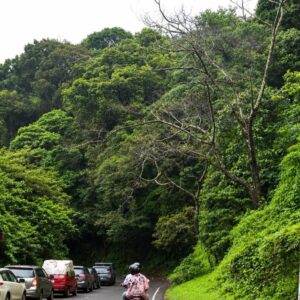 Traffic disruption at Kuttiady and Thamarassery Ghats