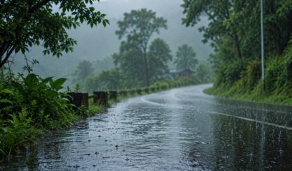 Wayanad relief camps sheltering 65 families after heavy rainfall