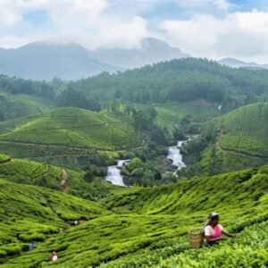Priyanka Gandhi discussing Brand Wayanad Tourism project for tourism development