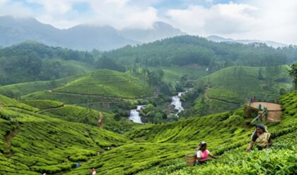 Priyanka Gandhi discussing Brand Wayanad Tourism project for tourism development